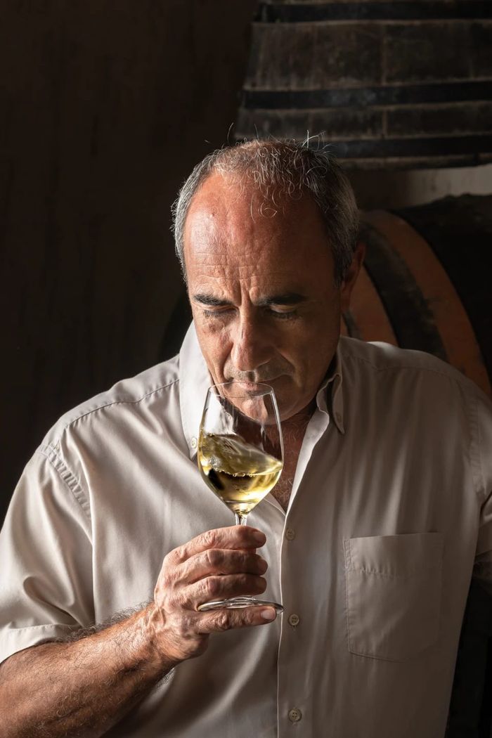 Produtor grego na vinícola
